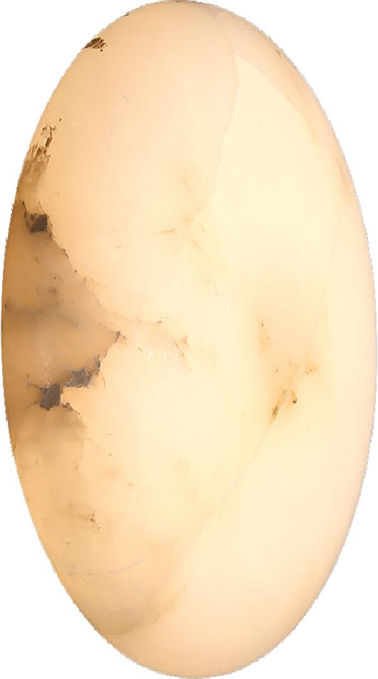 CL-ENO-F6703 Series