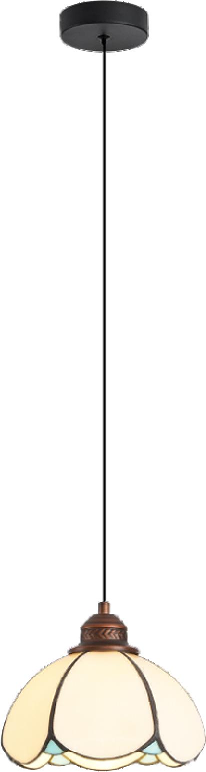 CL-ENO-MJYP5916-A Series